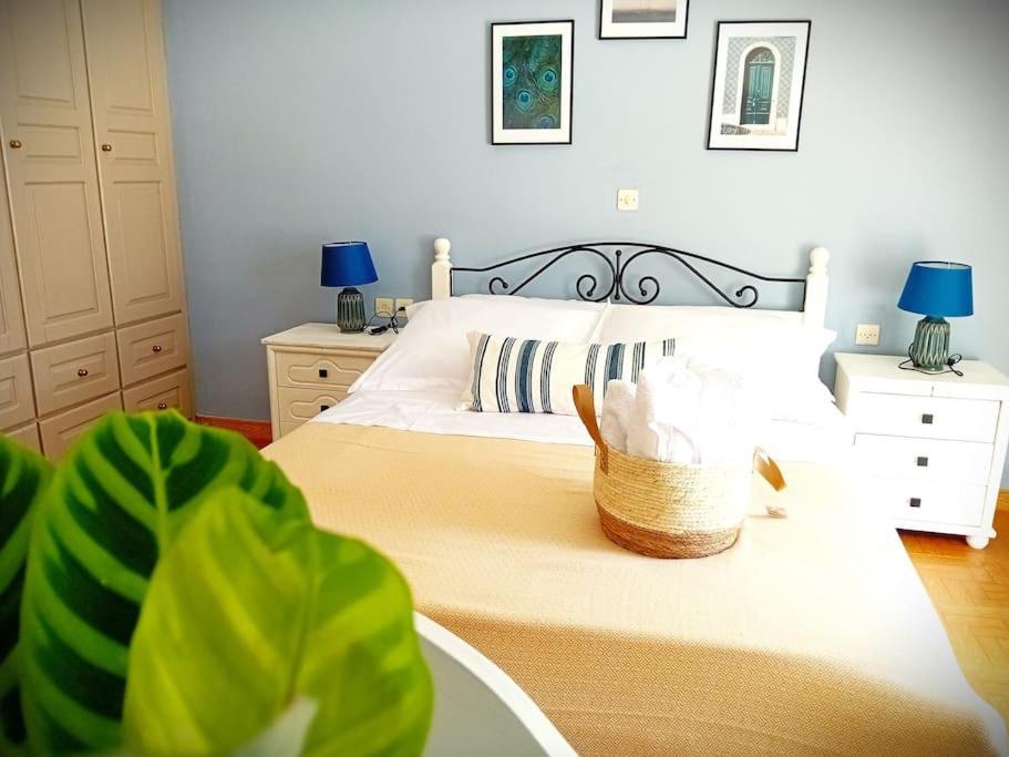 הוילה סקופלוס טאון Duka'S Gardenhouse מראה חיצוני תמונה
